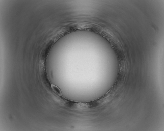 X0000111660327200907171125