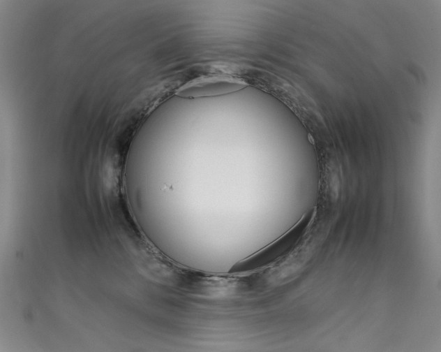 X0000111660328200907171125