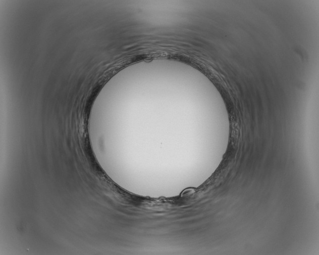 X0000111660331200907171125