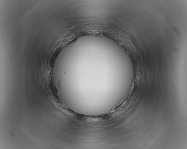 X0000111660332200907171125