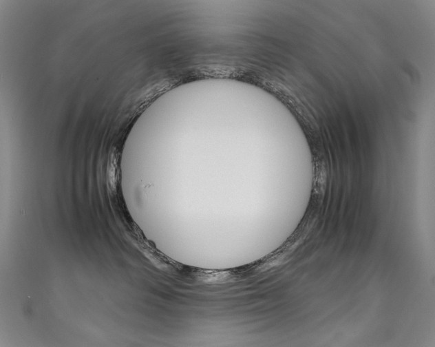 X0000111660334200907171125