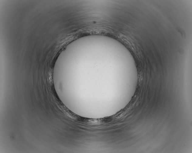 X0000111660335200907171125