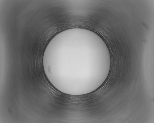 X0000111660336200907171125