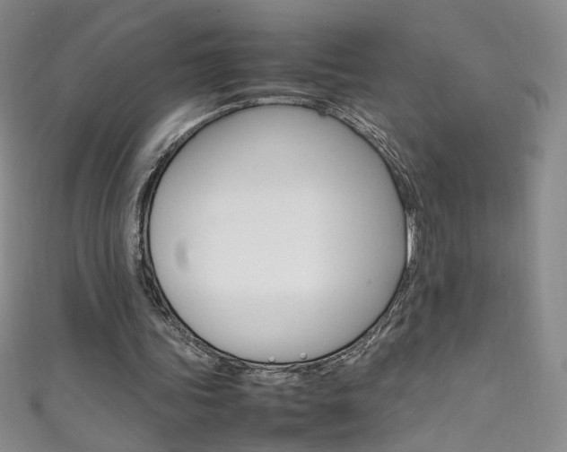 X0000111660339200907171124