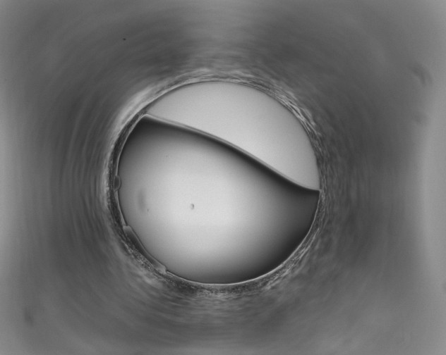 X0000111660340200907171124
