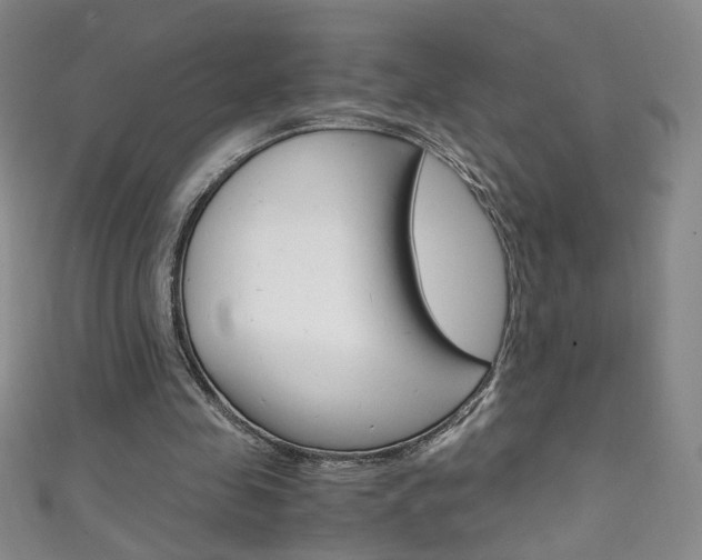 X0000111660341200907171124