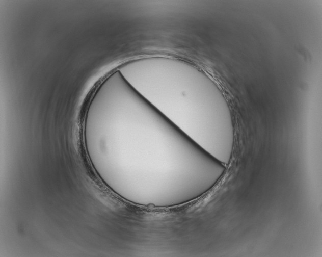X0000111660342200907171124