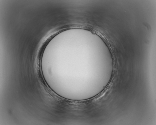 X0000111660343200907171124