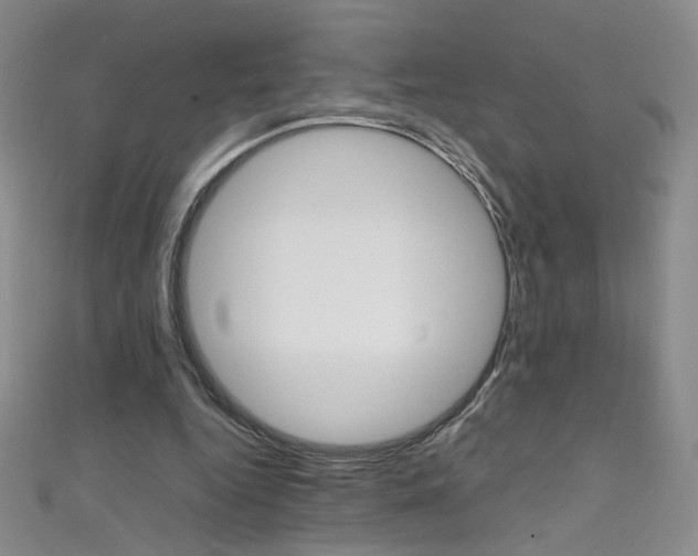 X0000111660344200907171124