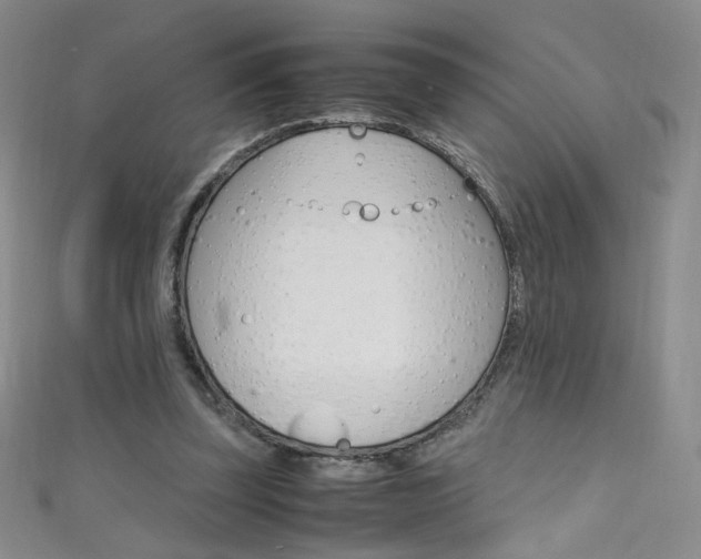 X0000111660347200907171124