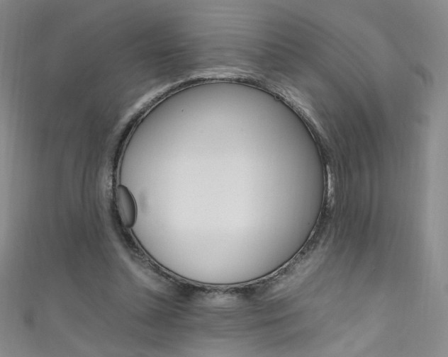 X0000111660348200907171124