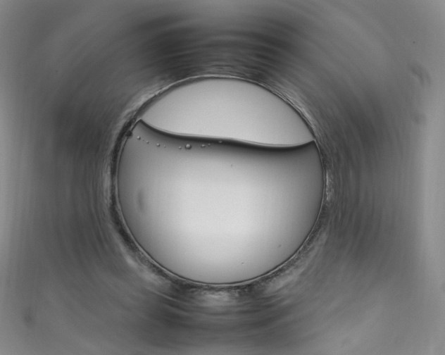 X0000111660349200907171124