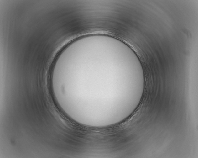 X0000111660350200907171124