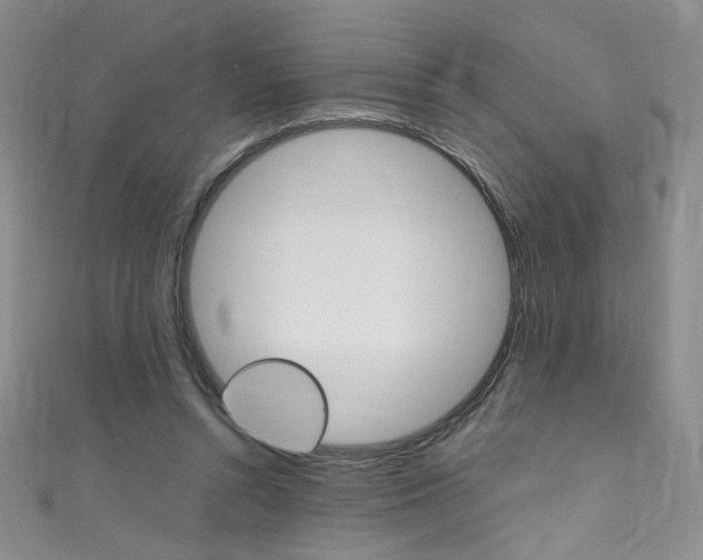 X0000111660352200907171124