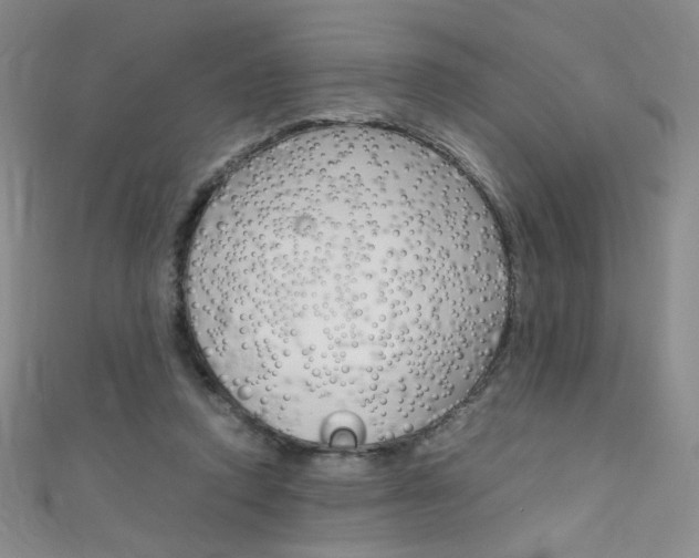 X0000111660354200907171124