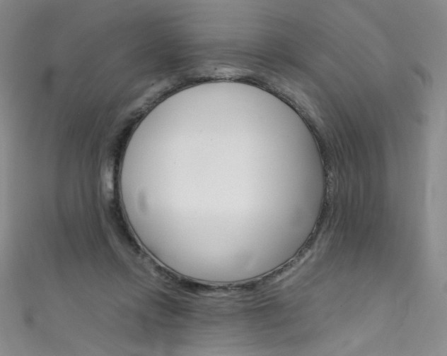 X0000111660358200907171124