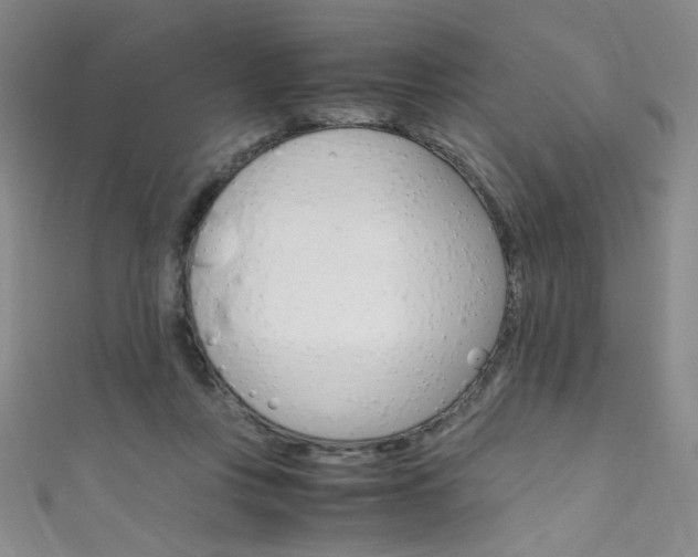 X0000111660359200907171124
