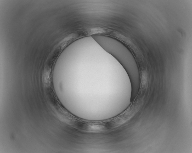 X0000111660360200907171124