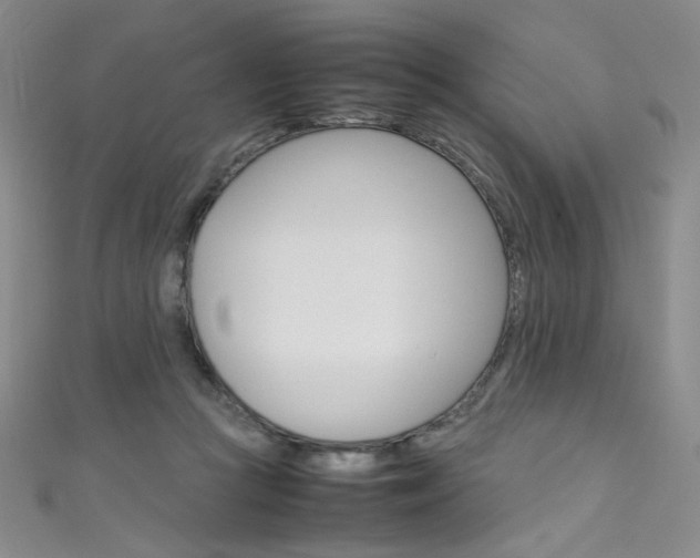 X0000111660361200907171124