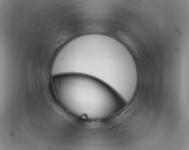 X0000111660362200907171124