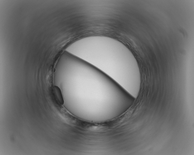 X0000111660364200907171124