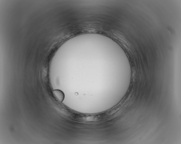 X0000111660365200907171124