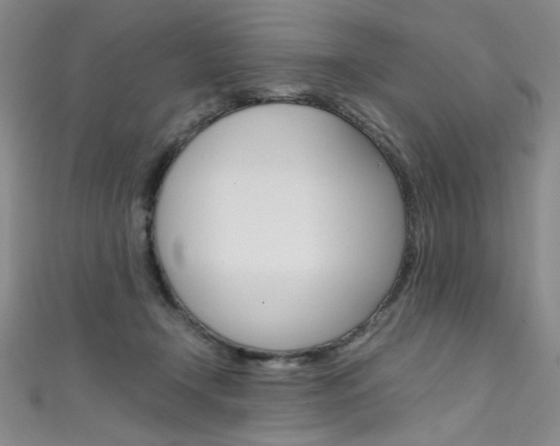 X0000111660366200907171124