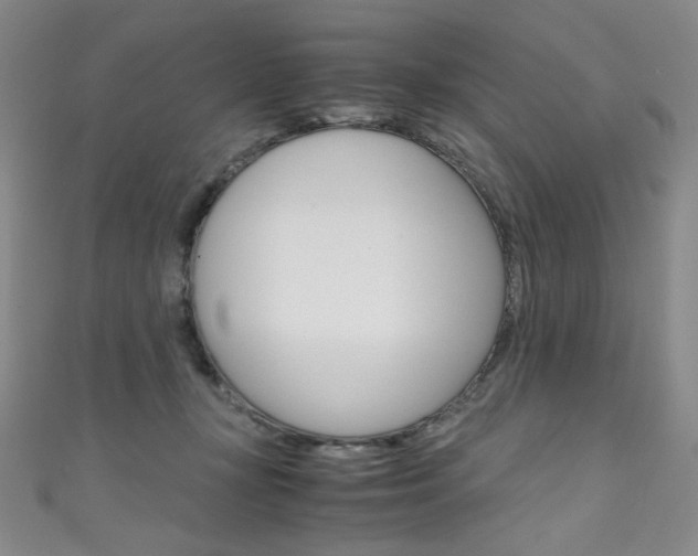 X0000111660367200907171124
