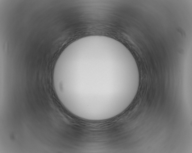 X0000111660368200907171124