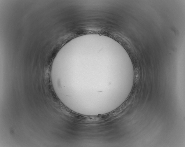 X0000111660369200907171124