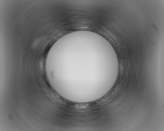X0000111660373200907171124