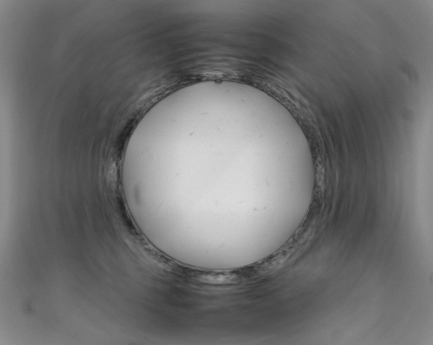X0000111660375200907171124