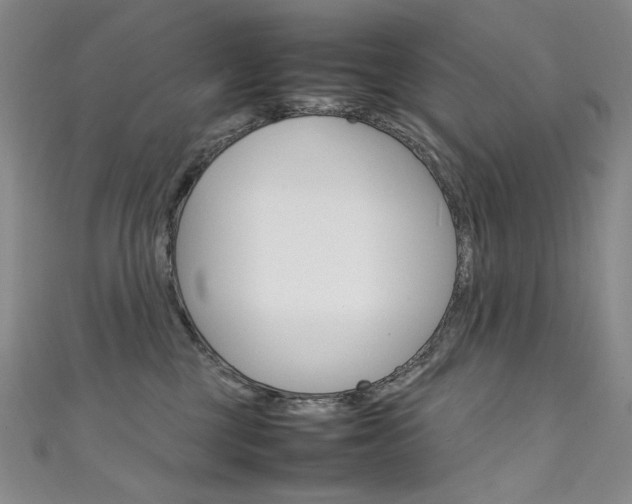 X0000111660377200907171124