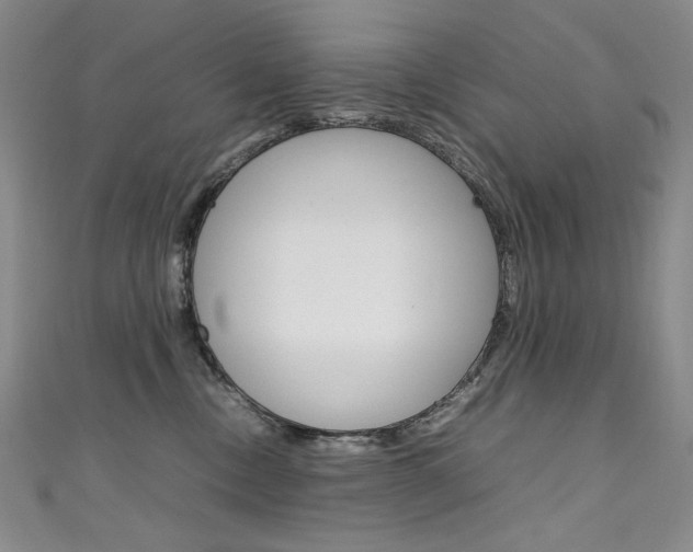 X0000111660378200907171124