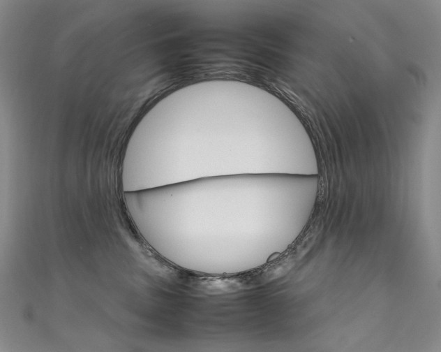 X0000111660379200907171124