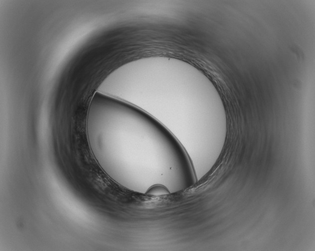 X0000111660382200907171124