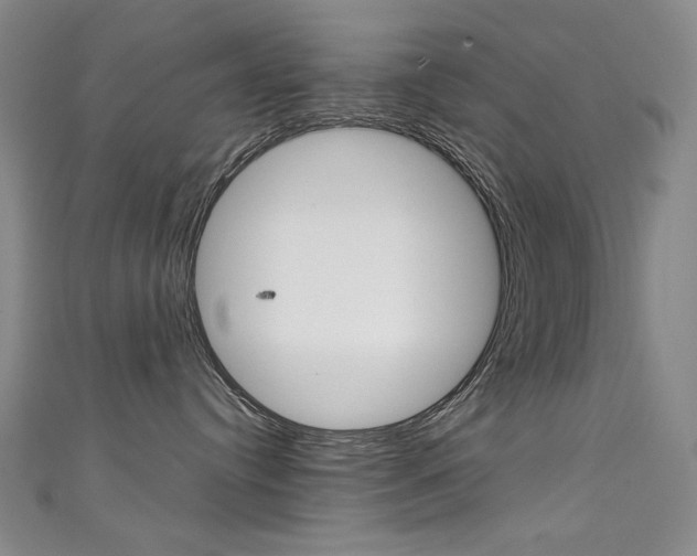 X0000111660384200907171125