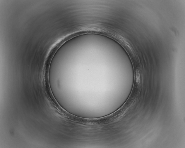 X0000111660388200907171124