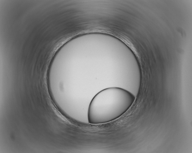 X0000111660389200907171124
