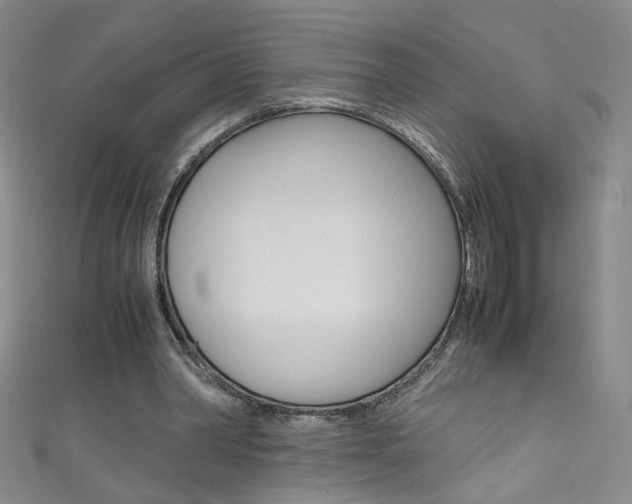X0000111660390200907171124