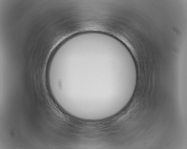 X0000111660391200907171124