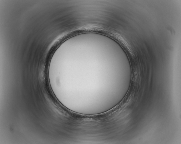 X0000111660392200907171124