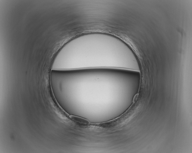 X0000111660393200907171124