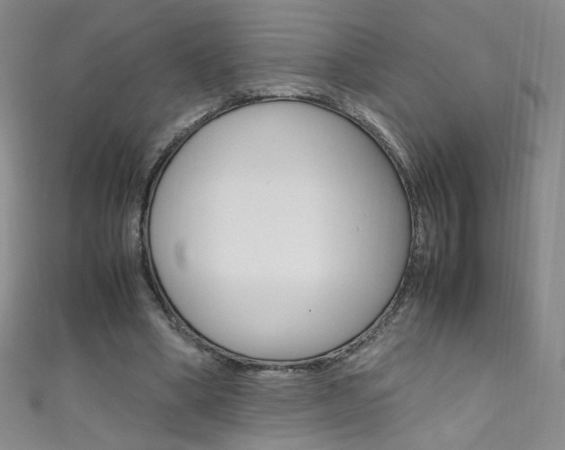 X0000111660394200907171124