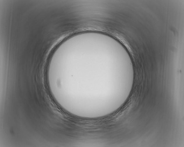 X0000111660395200907171124