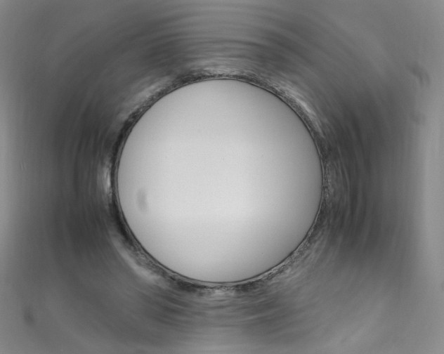 X0000111660398200907171124
