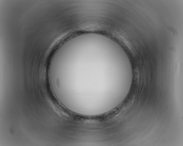 X0000111660400200907171124