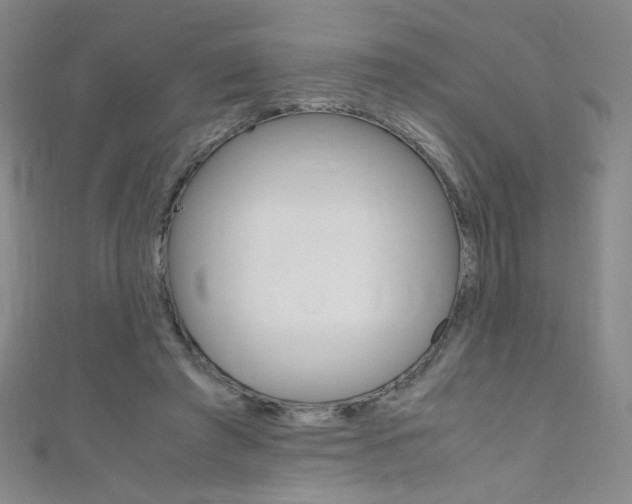 X0000111660401200907171124