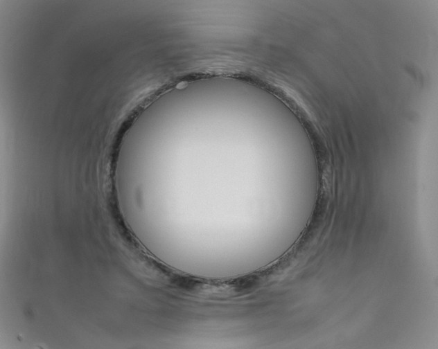 X0000111660403200907171123
