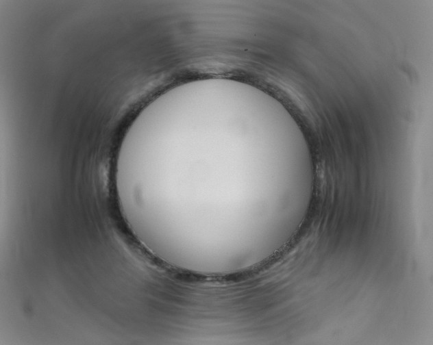 X0000111660404200907171123